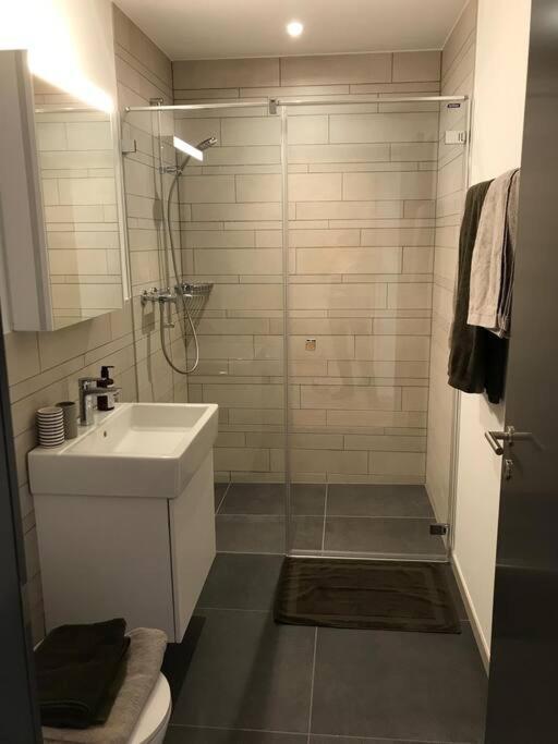 2.5 Room Apartment In Center Of Flims. Ski In/Out Exterior photo